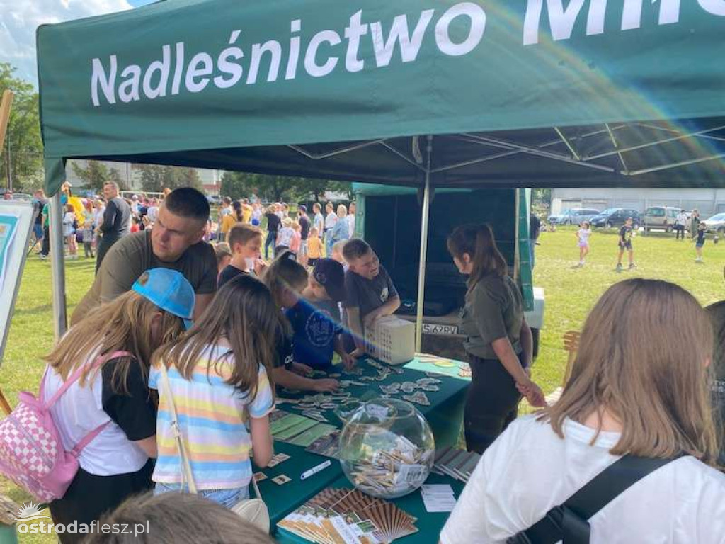 Festyn Rodzinny Rady Osiedla Centrum i Szkoły nr 3