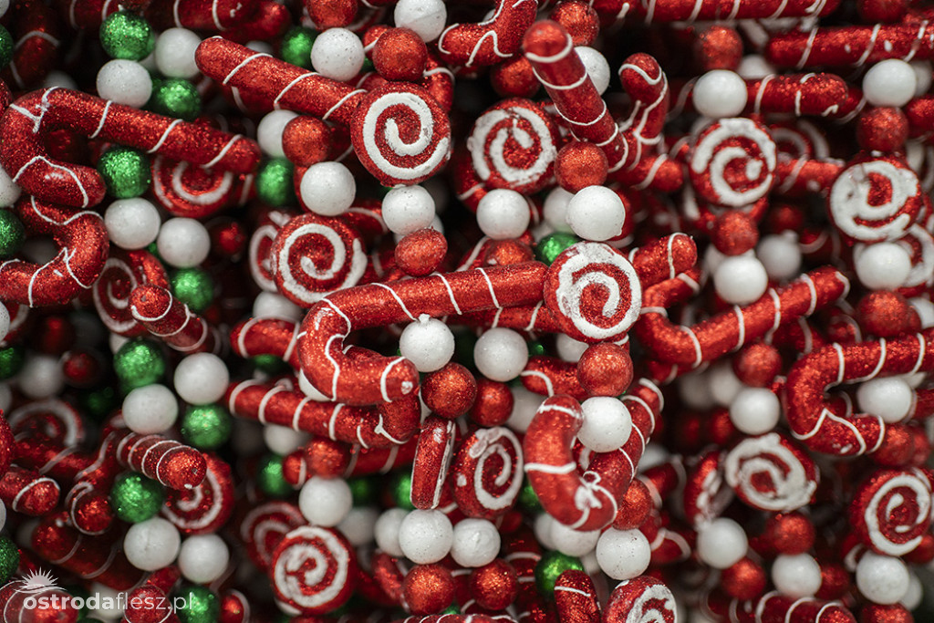 WIELKIE OTWARCIE SKLEPU DEALZ W OSTRÓDZIE (fotogaleria)