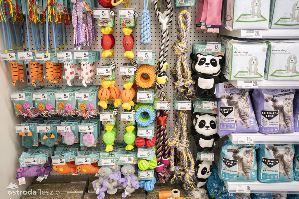 WIELKIE OTWARCIE SKLEPU DEALZ W OSTRÓDZIE (fotogaleria)