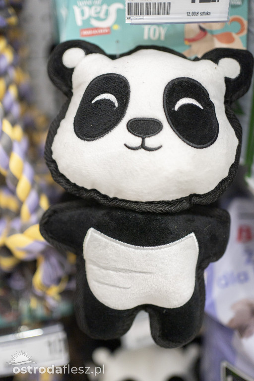 WIELKIE OTWARCIE SKLEPU DEALZ W OSTRÓDZIE (fotogaleria)