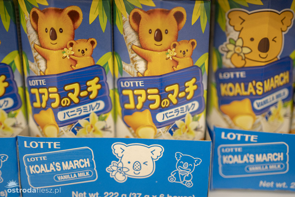 WIELKIE OTWARCIE SKLEPU DEALZ W OSTRÓDZIE (fotogaleria)