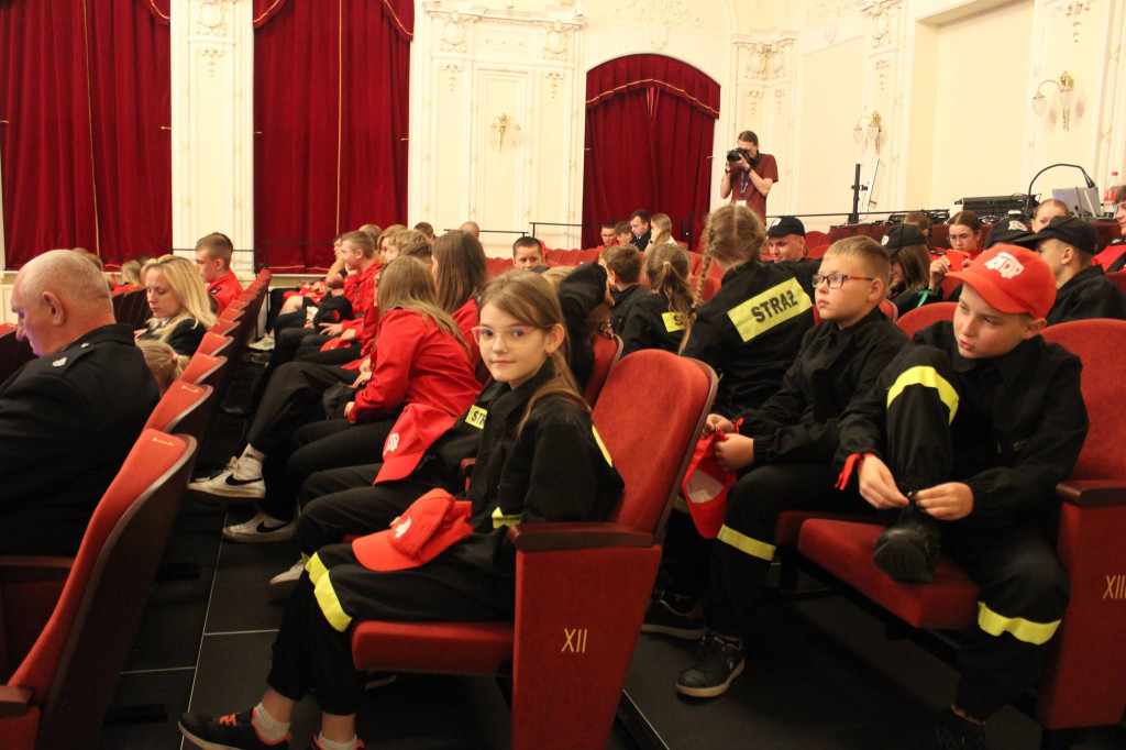 MDP z Dąbrówna wśród laureatów konkursu 