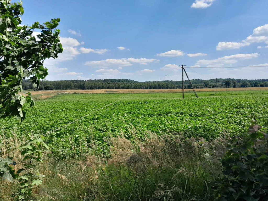 Samochód ciężarowy zerwał linię energetyczną