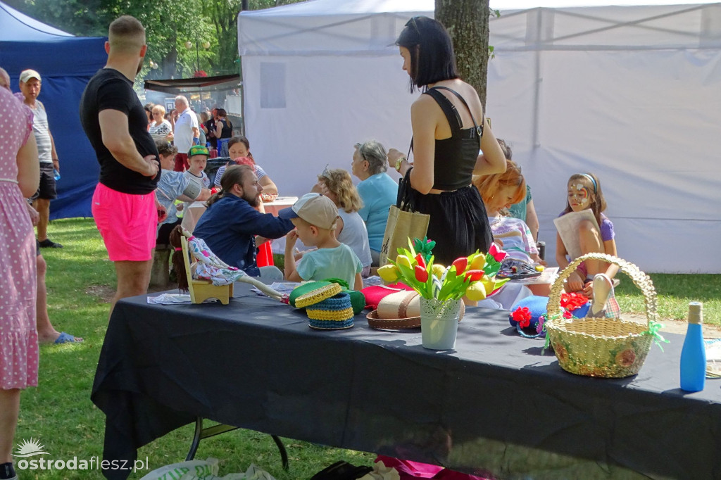 Ostróda: Wspólnie dla Marcela piknik charytatywny