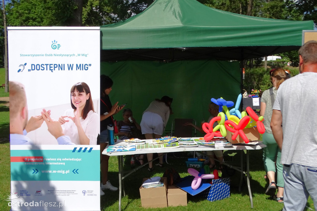 Ostróda: Wspólnie dla Marcela piknik charytatywny