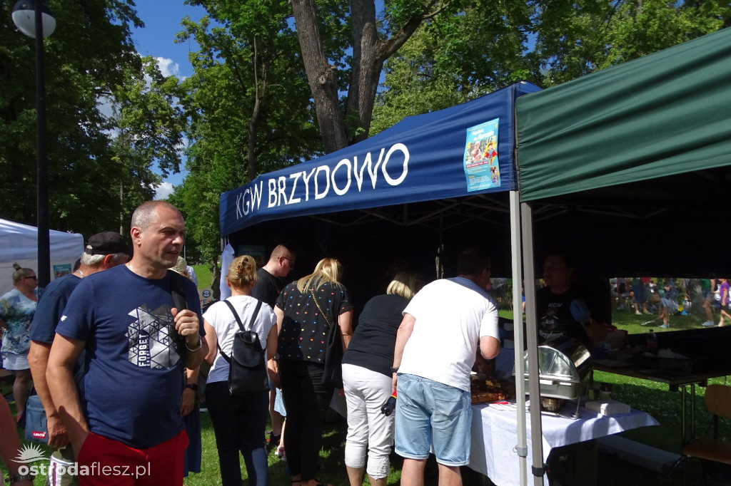 Ostróda: Wspólnie dla Marcela piknik charytatywny