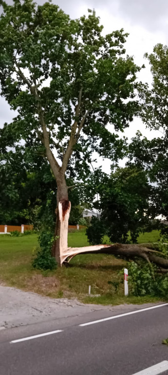 Blisko 250 interwencji strażaków na Warmii i Mazurach