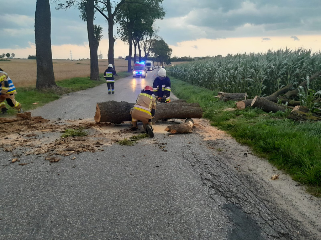 Blisko 250 interwencji strażaków na Warmii i Mazurach