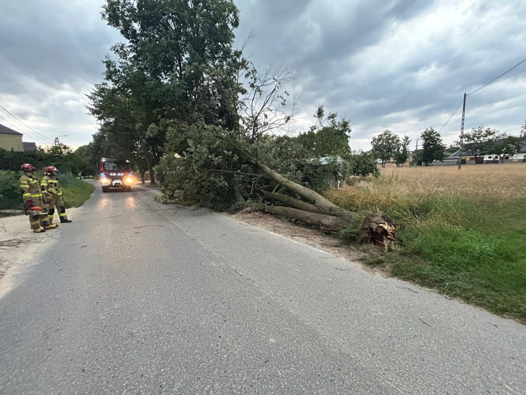 Blisko 250 interwencji strażaków na Warmii i Mazurach