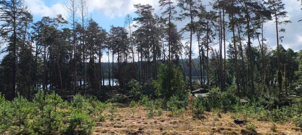 Przejście tornada nad Ośrodkiem Wypoczynkowym 
