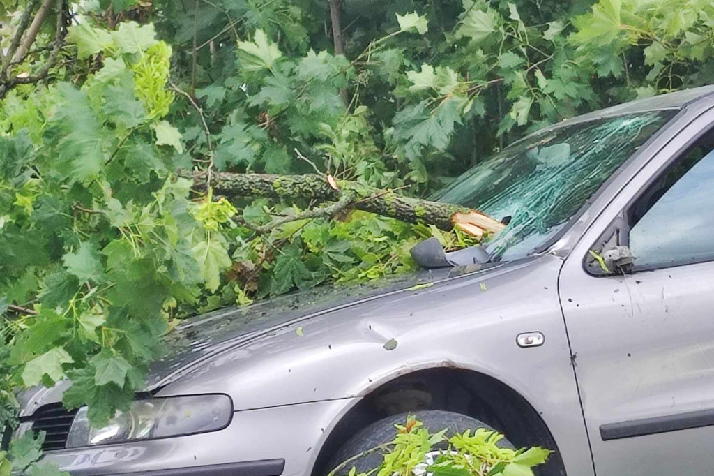 Gałąź spadła na samochód w Kajkowie