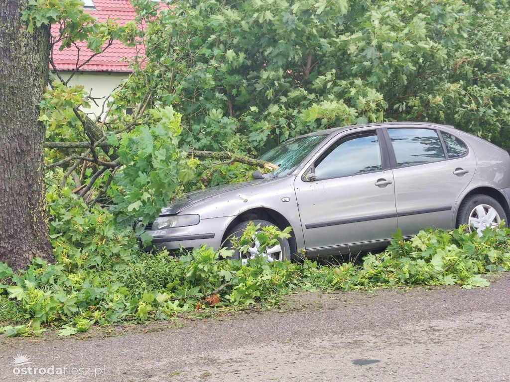Gałąź spadła na samochód w Kajkowie