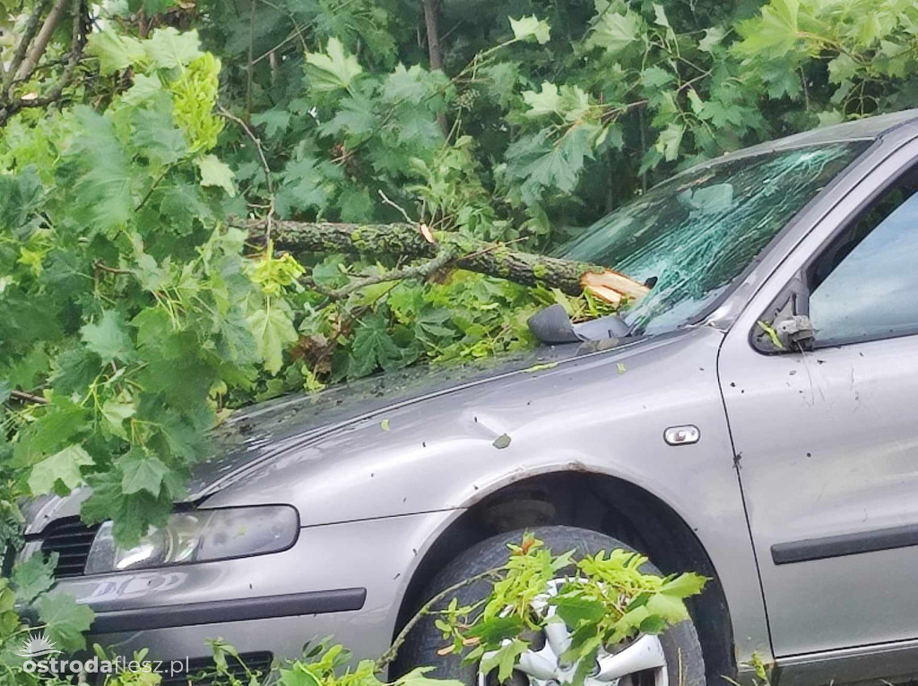 Gałąź spadła na samochód w Kajkowie