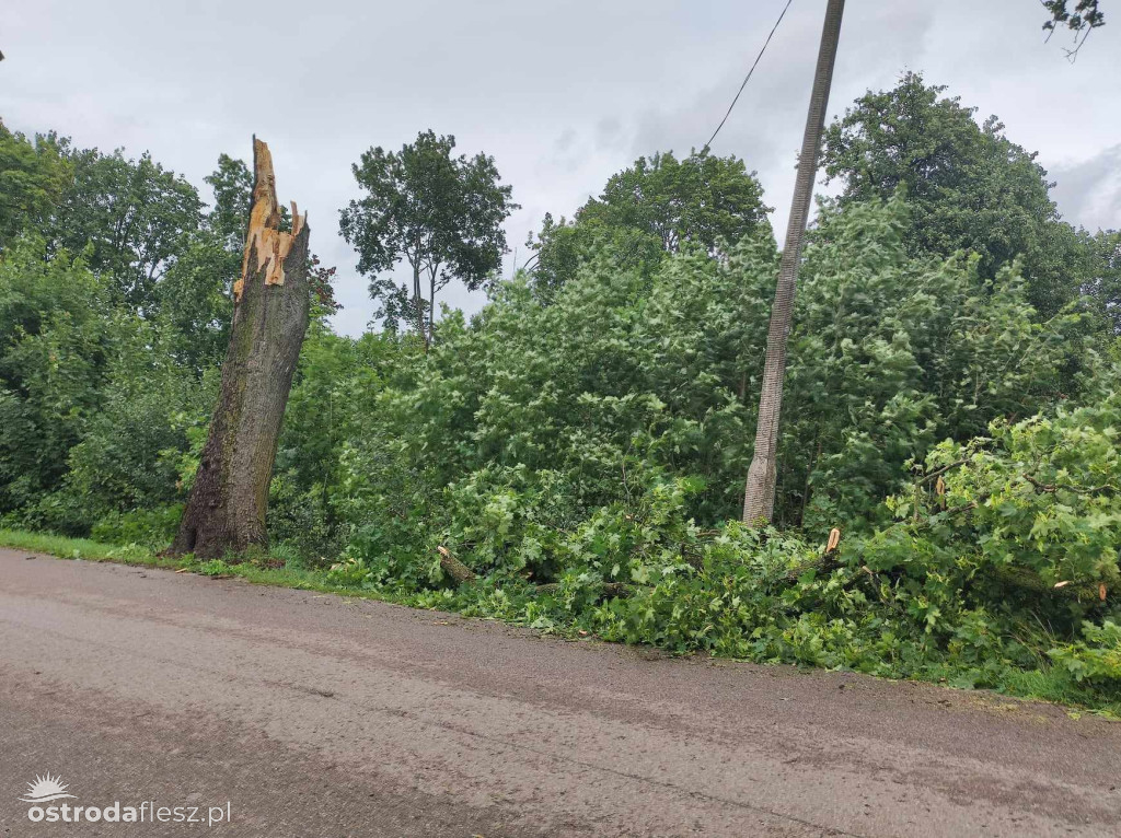 Gałąź spadła na samochód w Kajkowie