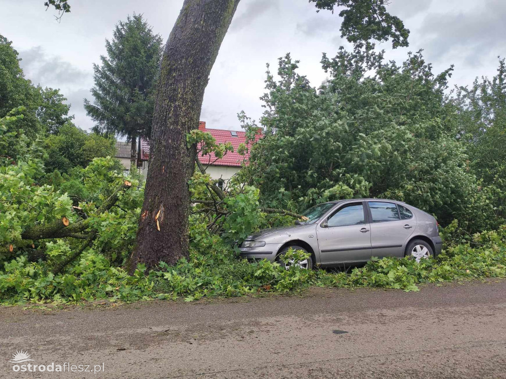 Gałąź spadła na samochód w Kajkowie