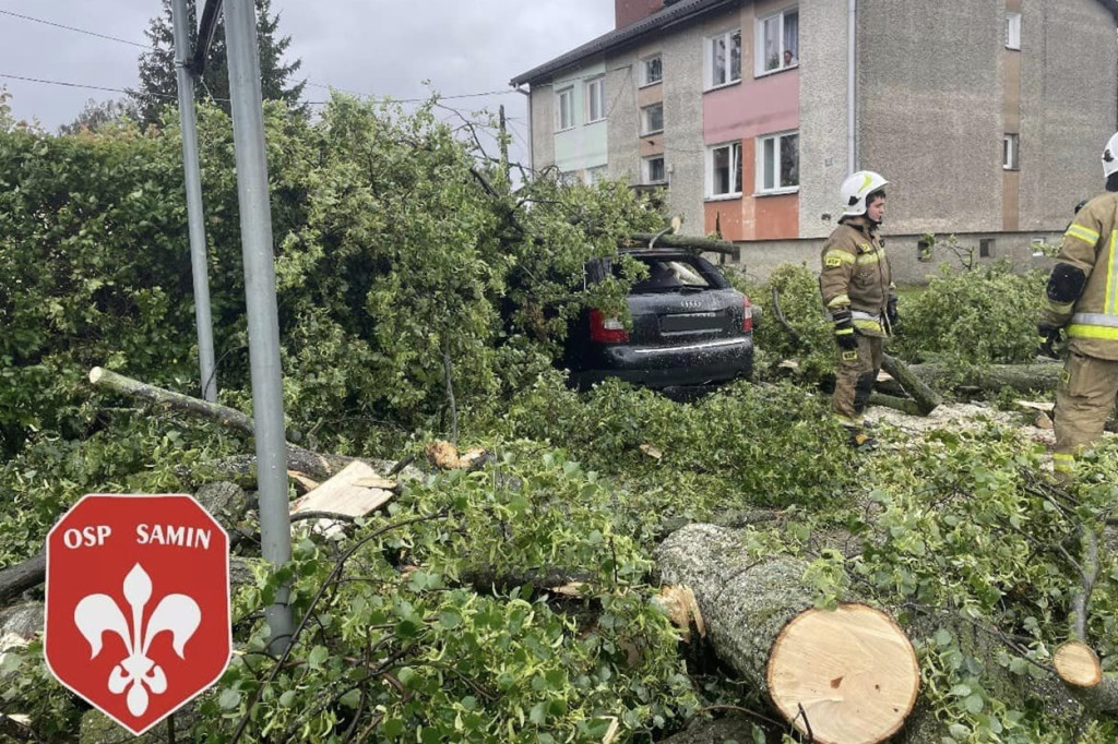 Drzewo spadło na samochód w Saminie w Gm. Dąbrówno