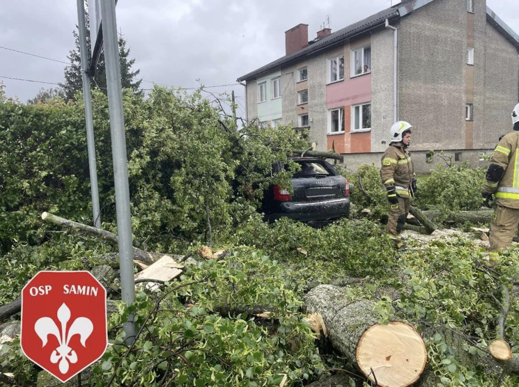 Drzewo spadło na samochód w Saminie w Gm. Dąbrówno