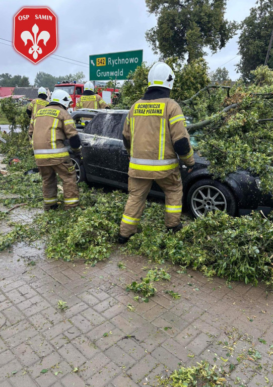 Drzewo spadło na samochód w Saminie w Gm. Dąbrówno