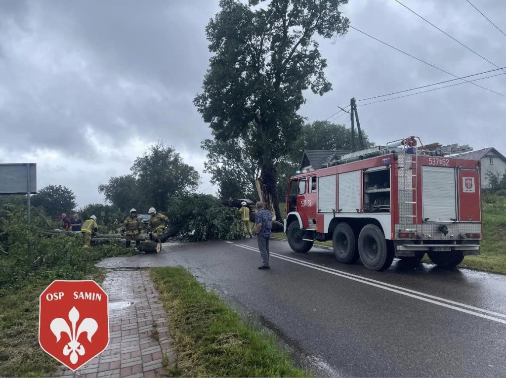 Drzewo spadło na samochód w Saminie w Gm. Dąbrówno