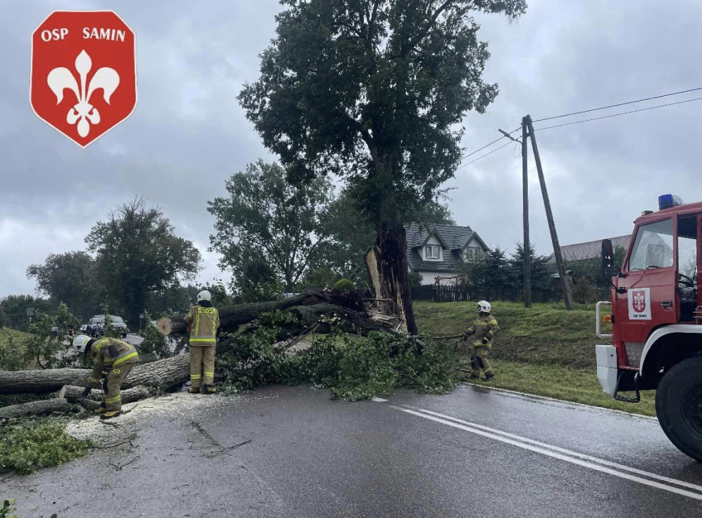 Drzewo spadło na samochód w Saminie w Gm. Dąbrówno