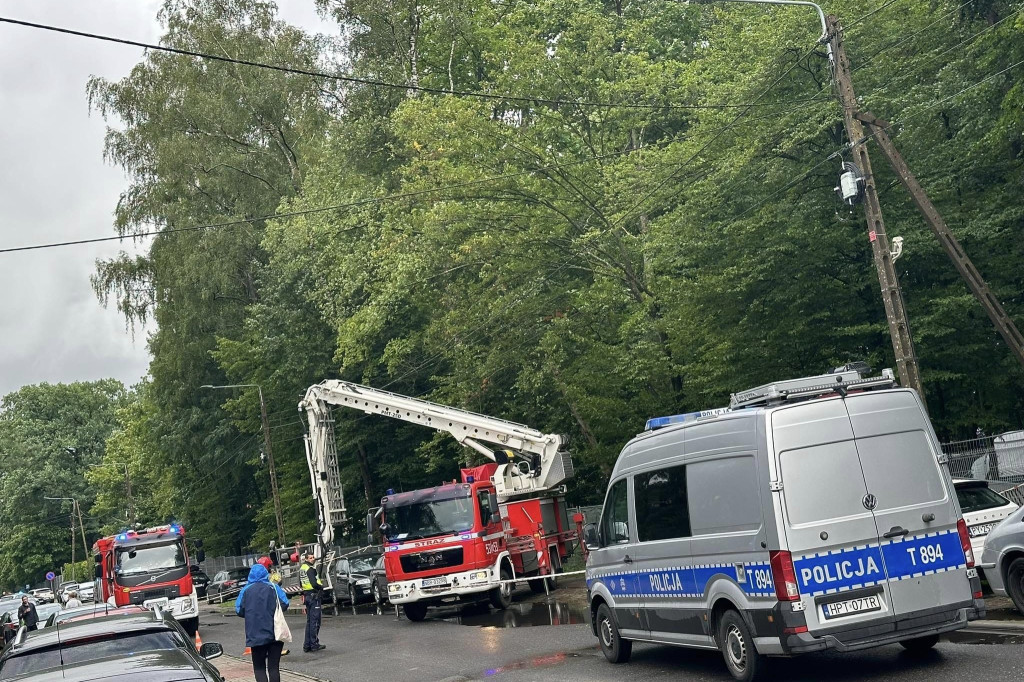 Akcja usuwania drzewa z pola namiotowego ORF 2024