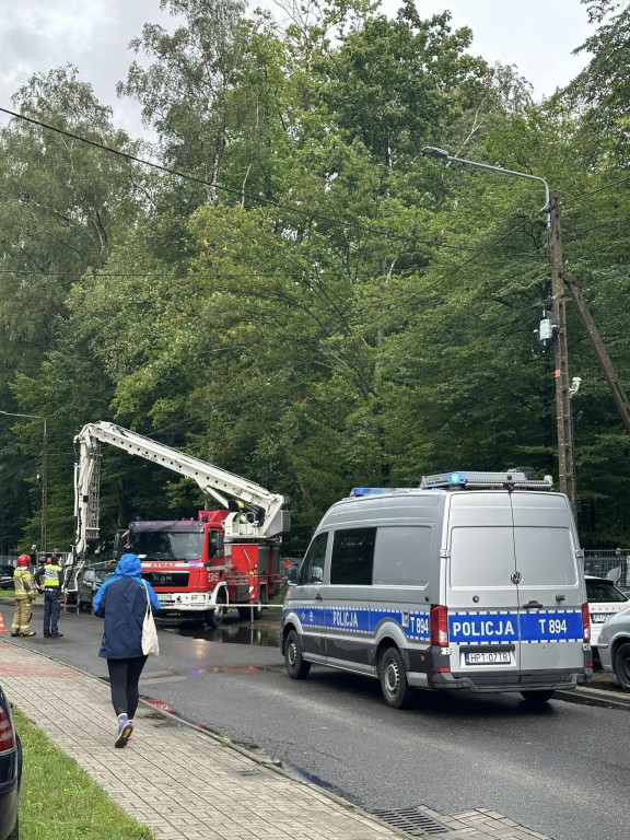 Akcja usuwania drzewa z pola namiotowego ORF 2024