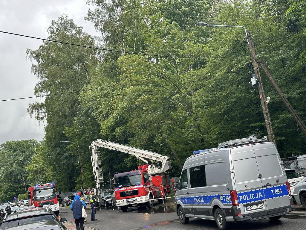 Akcja usuwania drzewa z pola namiotowego ORF 2024