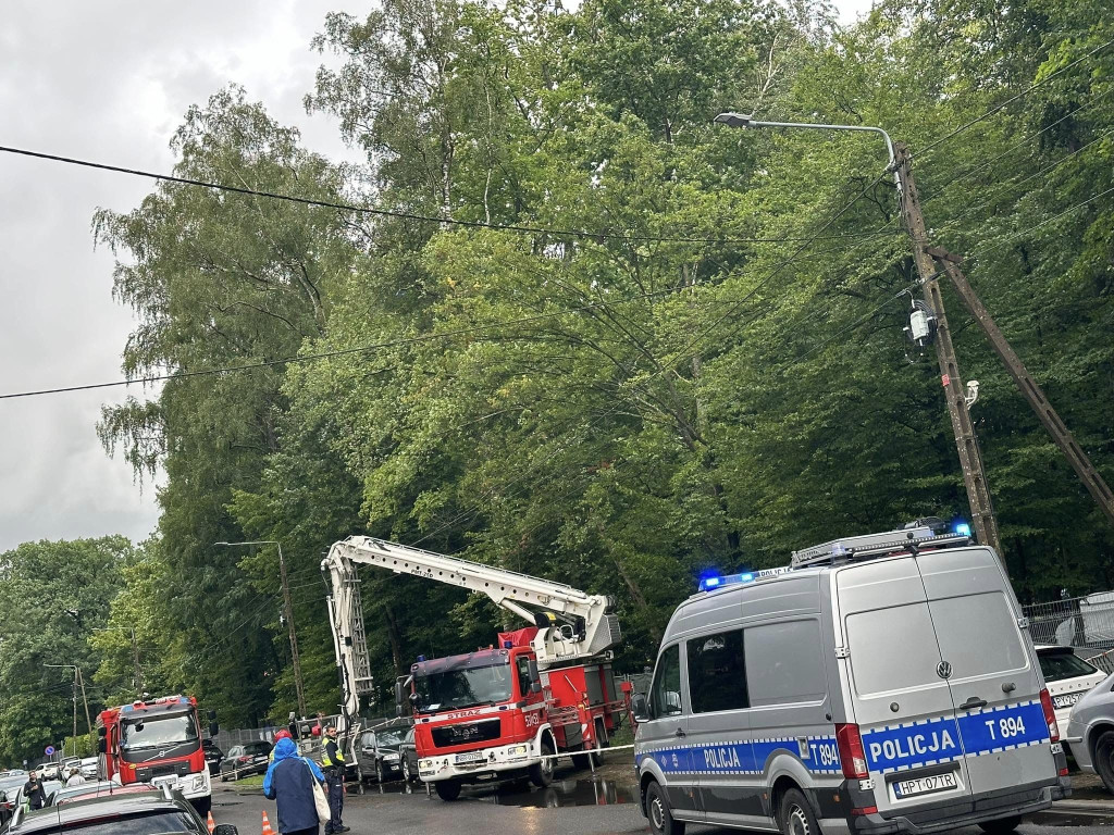 Akcja usuwania drzewa z pola namiotowego ORF 2024