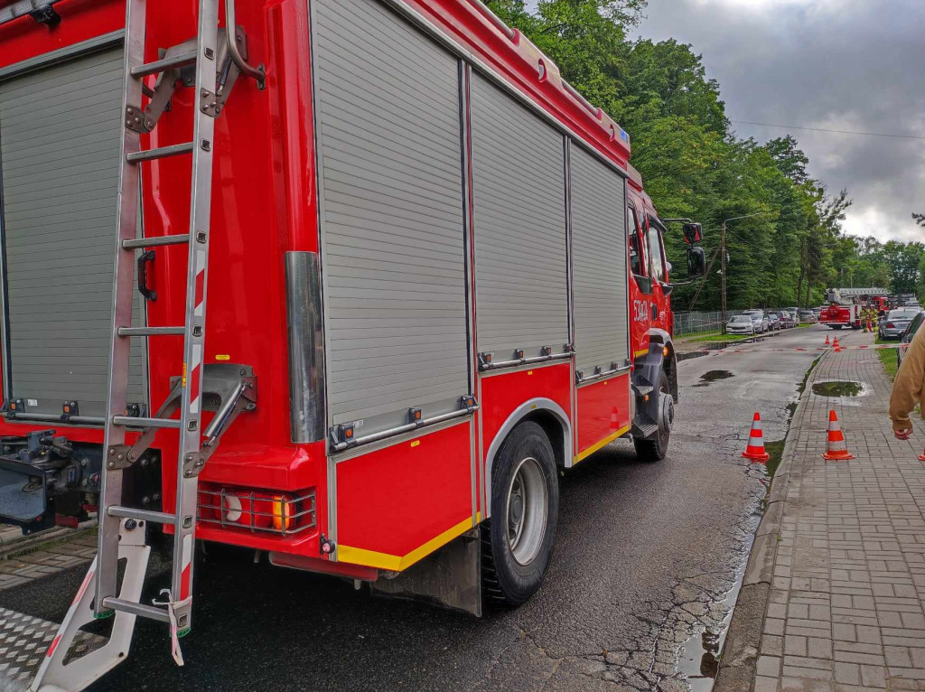 Akcja usuwania drzewa z pola namiotowego ORF 2024