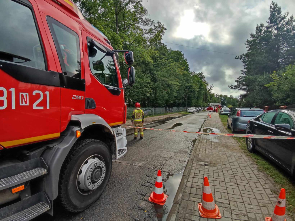 Akcja usuwania drzewa z pola namiotowego ORF 2024