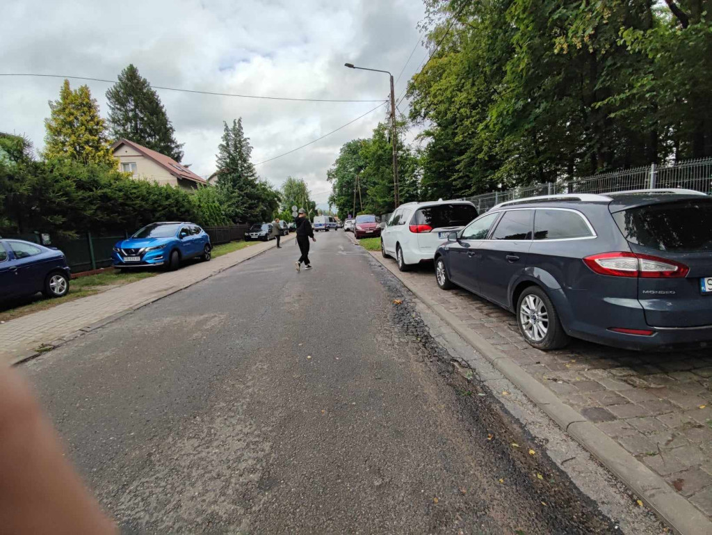 Akcja usuwania drzewa z pola namiotowego ORF 2024