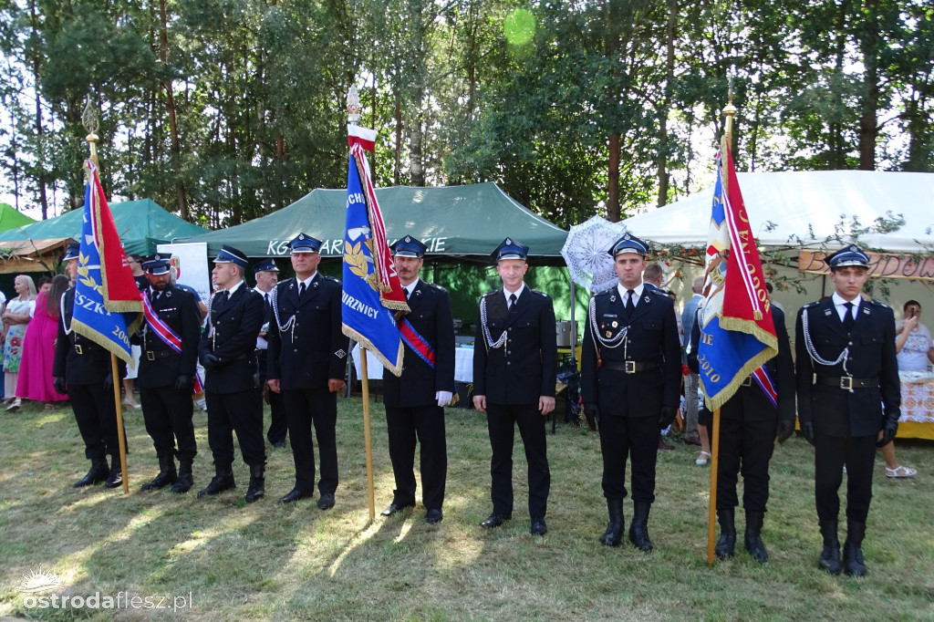 Dożynki Gminy Ostróda w Reszkach [FOTO]