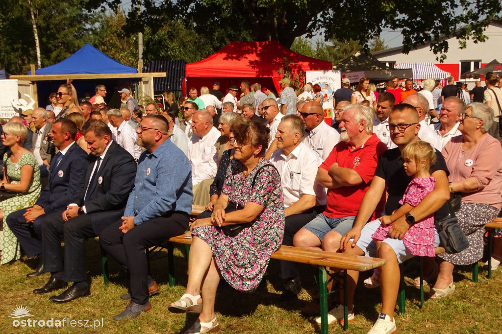 Dożynki Gminy Ostróda w Reszkach [FOTO]