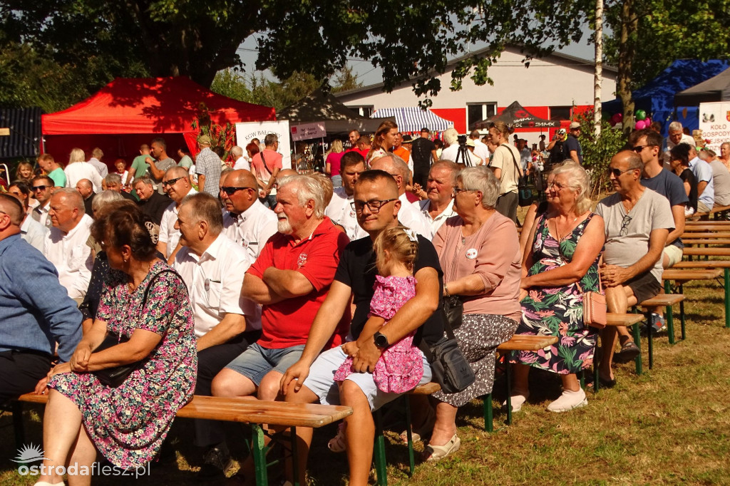 Dożynki Gminy Ostróda w Reszkach [FOTO]