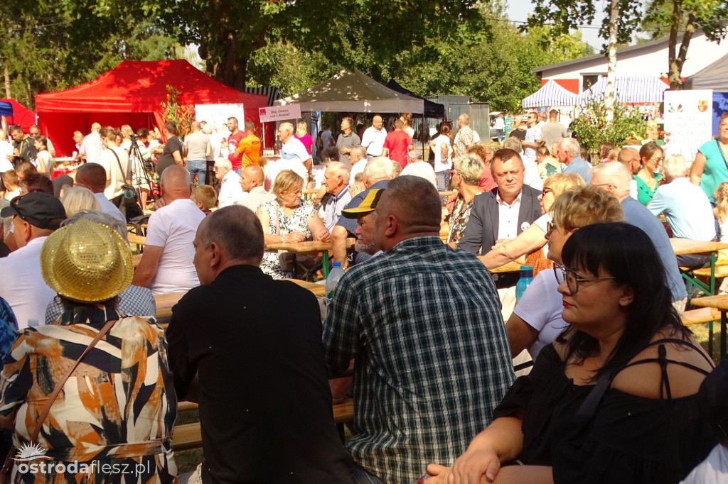 Dożynki Gminy Ostróda w Reszkach [FOTO]