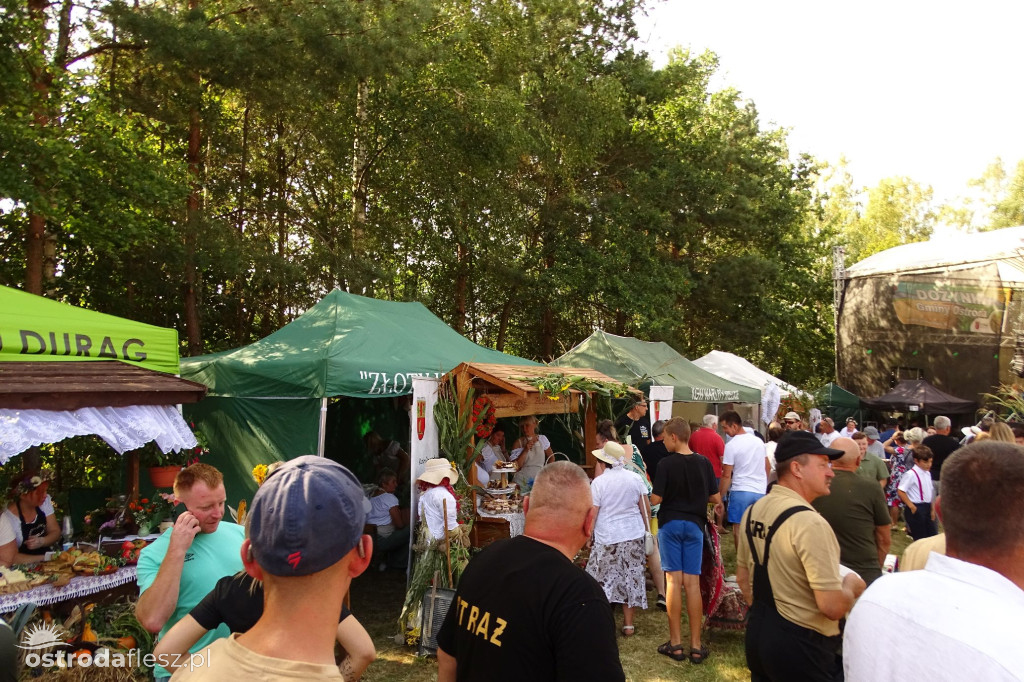 Dożynki Gminy Ostróda w Reszkach [FOTO]