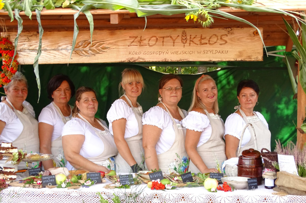 Sołectwa i KGW na dożynkach Gminy Ostróda [FOTO]