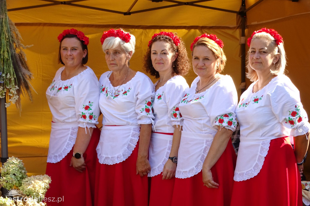 Sołectwa i KGW na dożynkach Gminy Ostróda [FOTO]