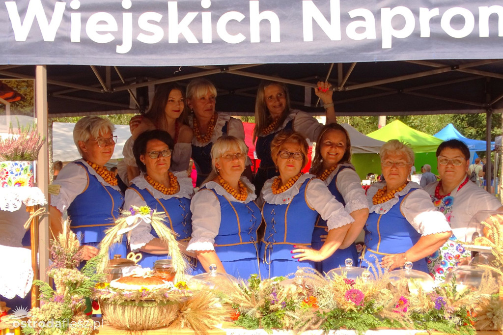 Sołectwa i KGW na dożynkach Gminy Ostróda [FOTO]
