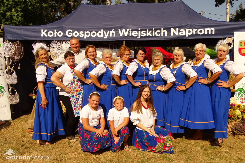 Sołectwa i KGW na dożynkach Gminy Ostróda [FOTO]