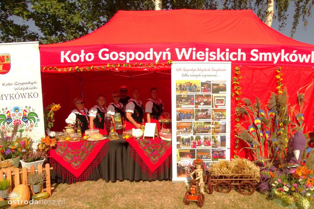 Sołectwa i KGW na dożynkach Gminy Ostróda [FOTO]