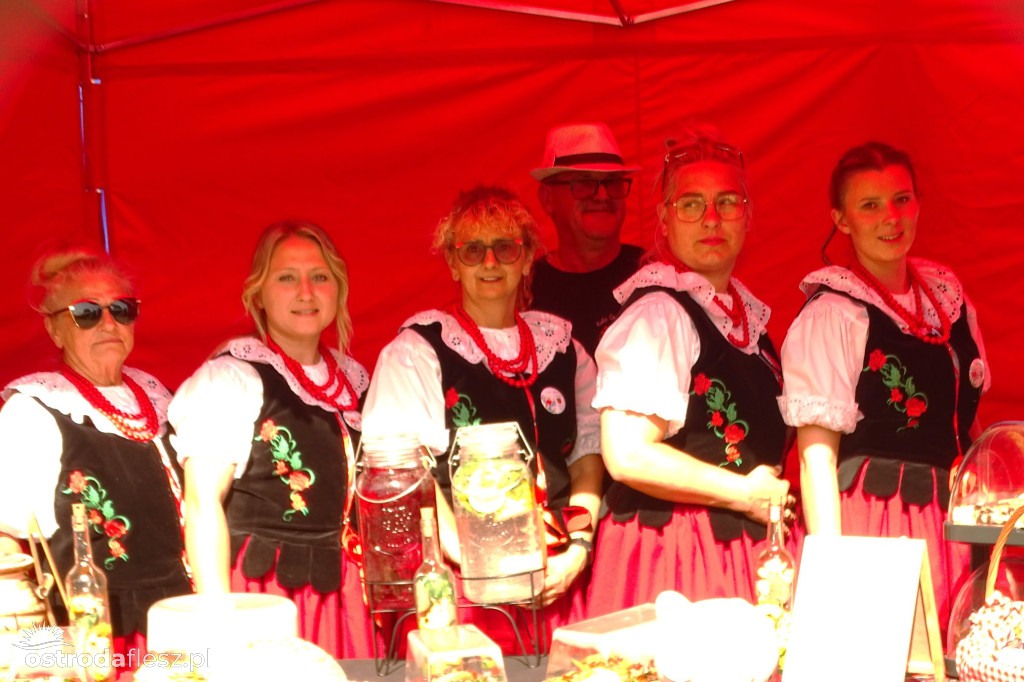 Sołectwa i KGW na dożynkach Gminy Ostróda [FOTO]