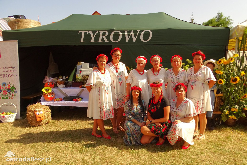 Sołectwa i KGW na dożynkach Gminy Ostróda [FOTO]