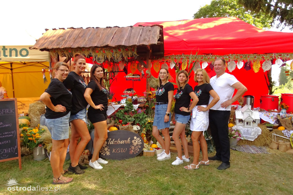Sołectwa i KGW na dożynkach Gminy Ostróda [FOTO]