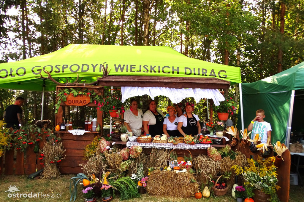 Sołectwa i KGW na dożynkach Gminy Ostróda [FOTO]