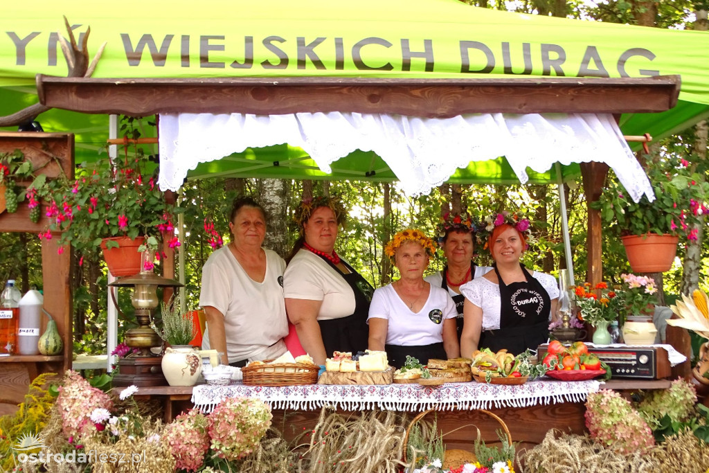 Sołectwa i KGW na dożynkach Gminy Ostróda [FOTO]