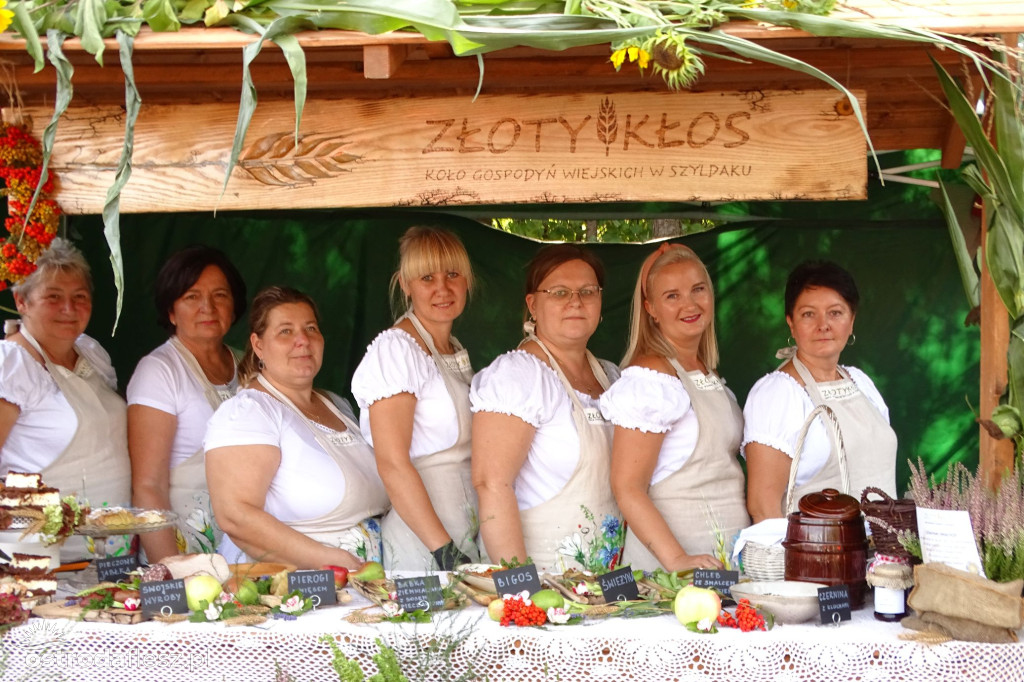 Sołectwa i KGW na dożynkach Gminy Ostróda [FOTO]