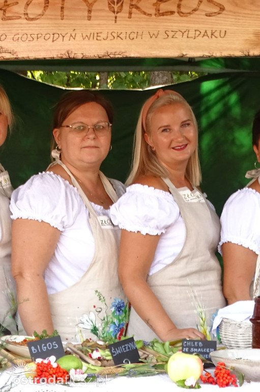 Sołectwa i KGW na dożynkach Gminy Ostróda [FOTO]