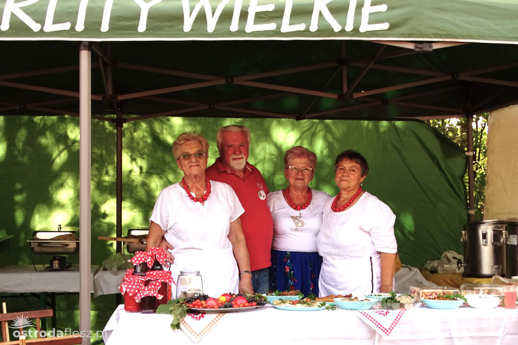 Sołectwa i KGW na dożynkach Gminy Ostróda [FOTO]