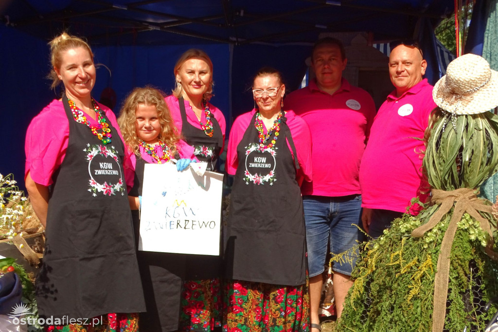 Sołectwa i KGW na dożynkach Gminy Ostróda [FOTO]